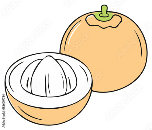 Illustration of Two Fresh Cut Bael Fruits Showing Interior Sectional Slice