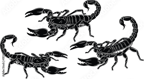 Scorpion silhouette vector illustration set, black insect icons, tribal tattoo style, fantasy creature designs, fierce graphic emblems, detailed artwork