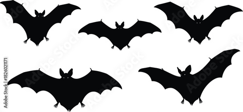 Silhouette collection of flying bats with wide wingspan, spooky nocturnal animal illustrations for Halloween design, vector wildlife graphic elements