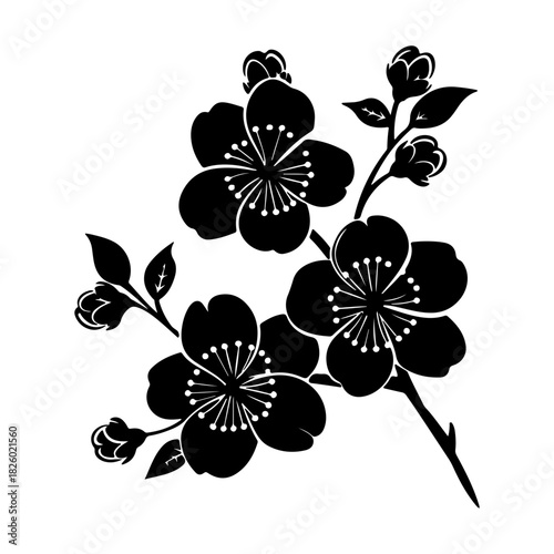 Elegant silhouette of a woman standing by a window with sunlight streaming through, creating a serene atmosphere