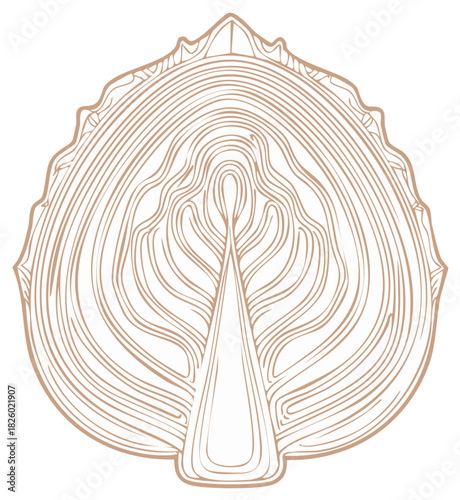 Stylized line art illustration of a cabbage cross section showing intricate organic leaf patterns