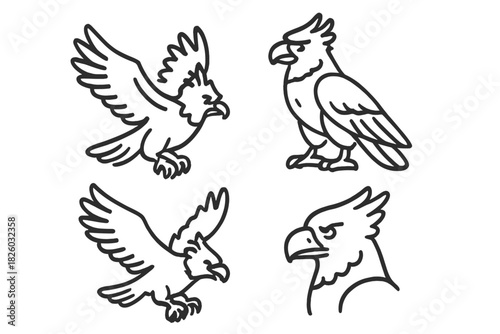 Collection of four stylized eagle and raptor bird outlines for logo and mascot design