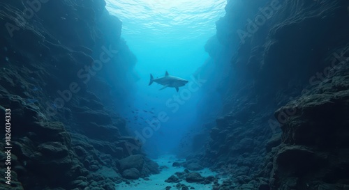 Solitary shark navigates a submerged canyon bathed in ethereal azure light creating an atmosphere