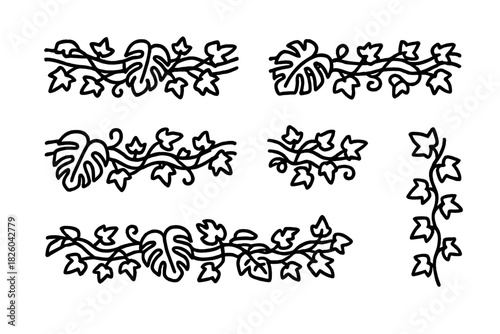 Hand drawn black outline floral dividers featuring winding ivy and exotic foliage