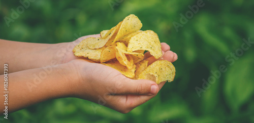 Child's hands holding a handful of crispy, seasoned potato chips against a green background