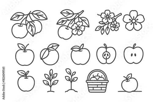 Outline icons depicting fruit, blossoms, branches, seedlings, and harvest basket
