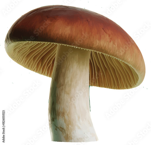 A single red cap mushroom rests on a green background
