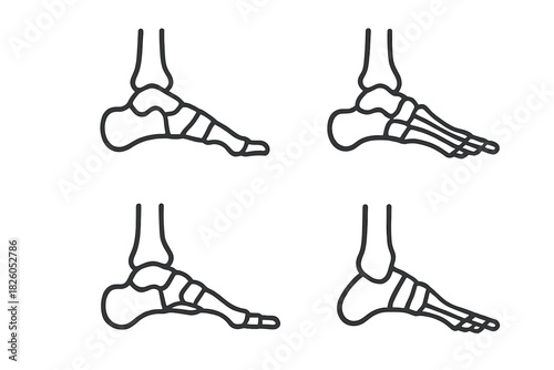 Human foot skeleton anatomy line icons showing bone structure and joint connections