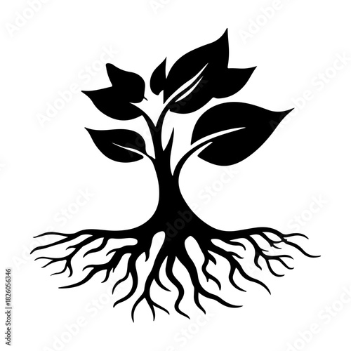 Abstract black silhouette of a tree with sparse branches against a contrasty white background creating a striking visual impact