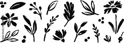 botanical, floral, leaves, flowers, branches, berries, ink, brush stroke, black and white, silhouette, nature, organic, design, element, graphic, drawing, sketch, artistic, simple, minimalist, isolate