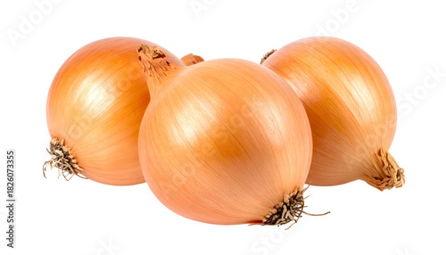 Wallpaper Mural Three round, light-brown onions, slightly overlapping, against a black backdrop Torontodigital.ca