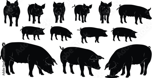 Set of Black Pig and Hog Silhouettes Vector Icons - Farm Animals, Swine, Livestock, and Domestic Pork Meat Industry Symbols
