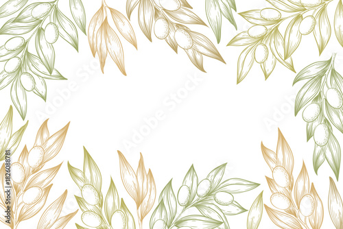 Vector illustration with hand drawn olive branches, leaves and berries frame isolated on white background. Botanical design for banner, print, card, label, beauty and cosmetic products
