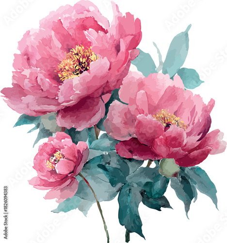 Soft watercolor depiction of lush pink peonies surrounded by gentle green leaves in a graceful floral arrangement - vector illustration