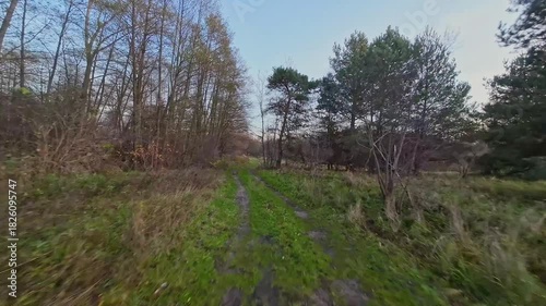 A low and fast drone flight over a river and meadow.