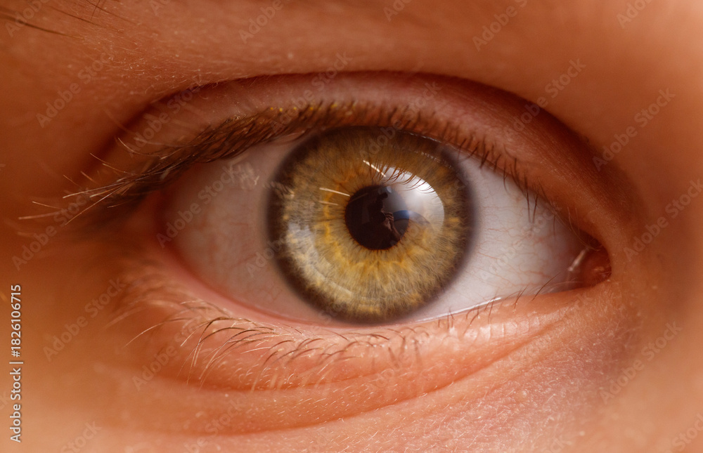 Fototapeta premium A person's eye is shown with a brown iris