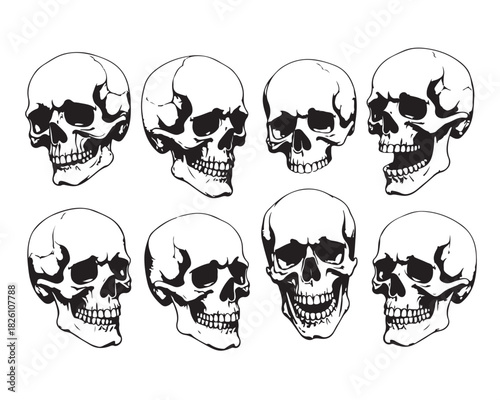 Hand Drawn Human Anatomical Skulls Vector Set in Various Angles