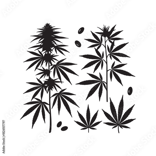 Cannabis Sativa Hemp Plant Silhouette Vector Set