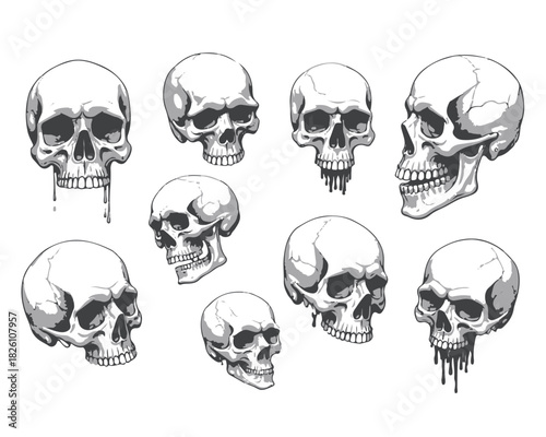 Hand Drawn Human Anatomical Skulls Vector Set in Various Angles