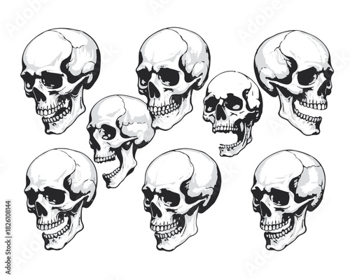 Hand Drawn Human Anatomical Skulls Vector Set in Various Angles