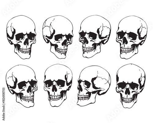 Hand Drawn Human Anatomical Skulls Vector Set in Various Angles