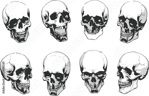 Hand Drawn Human Anatomical Skulls Vector Set in Various Angles