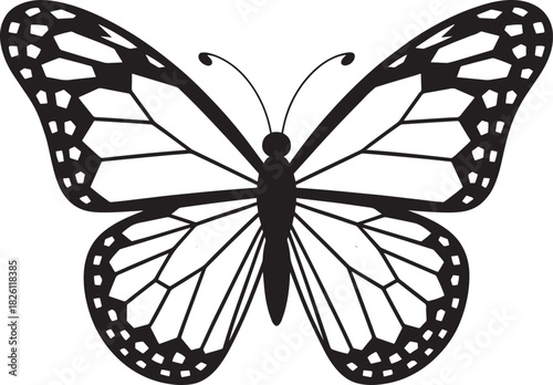Detailed Butterfly Vector Illustration for Nature-Themed Designs and Educational Projects