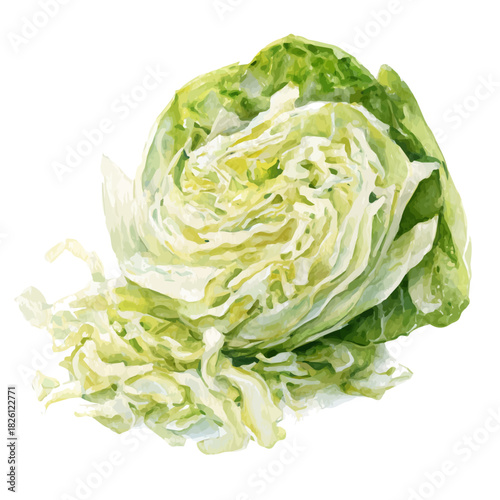 Sauerkraut, watercolor illustration, vector style, isolated on a white background.