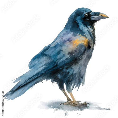 Raven, watercolor illustration, vector style, isolated on a white background.