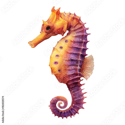 Watercolor vector illustration of Seahorse, isolated on white background.
