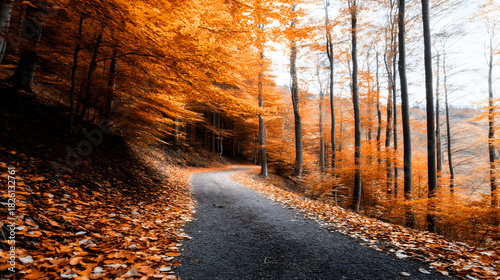 Autumnal Road in Forest: A winding road meanders through a vibrant forest, the air filled with the crisp scent of autumn leaves.