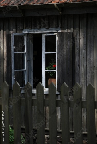 Morning in the countryside.