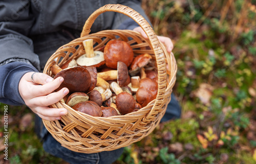 Child holding basket full of wild mushrooms in forest