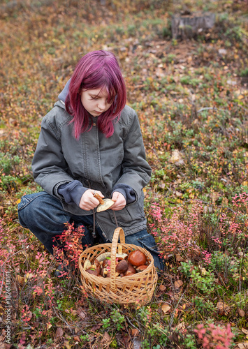 Girl foraging wild mushrooms in autumn forest