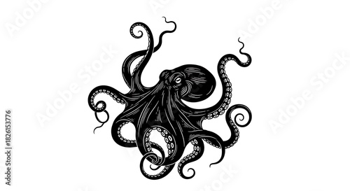 Vintage style black and white illustration of a detailed octopus creature isolated on white background