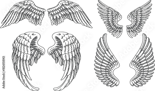 Set of Detailed Angel Wings Sketch Illustrations, Vintage Engraving Feathered Tattoo Drawing, Freedom Spiritual Vector Graphic Clipart Collection