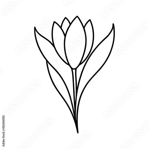 Minimalist flower line art with a simple spring bloom outline for clean floral artwork Vector illustration