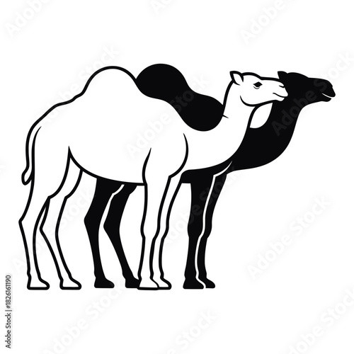 Two Camels Silhouette One White One Black dromedary