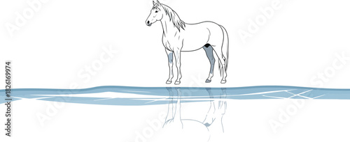 Elegant white horse standing on a frozen lake with a clear water reflection