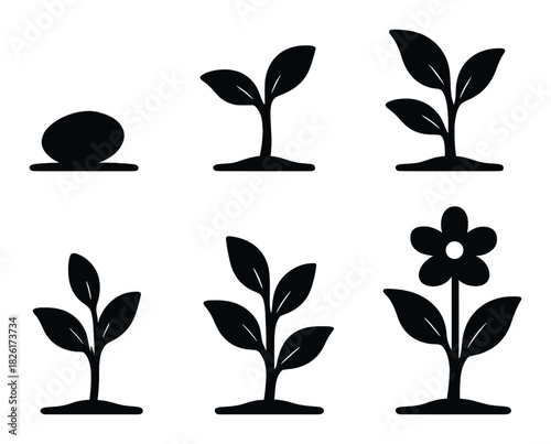 Silhouette stages of plant growth: from seed to flower