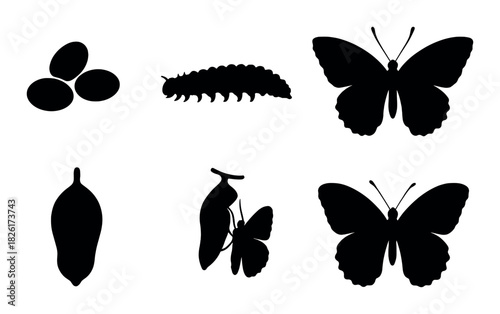 Silhouettes of butterfly life cycle: eggs, larva, and adult stages