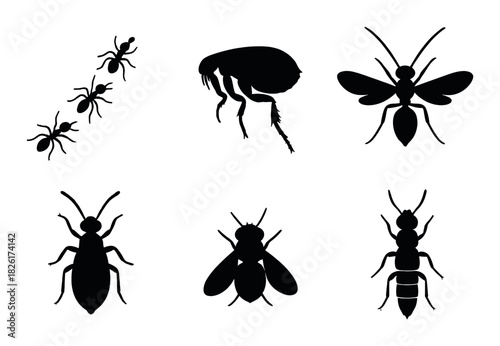 Silhouettes of insects: ant, flea, wasp, termite, fly, and bee in dark background