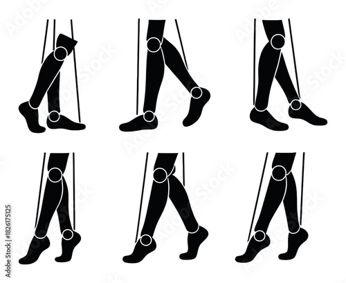 Biomechanics of human leg movement: gait cycle analysis diagram