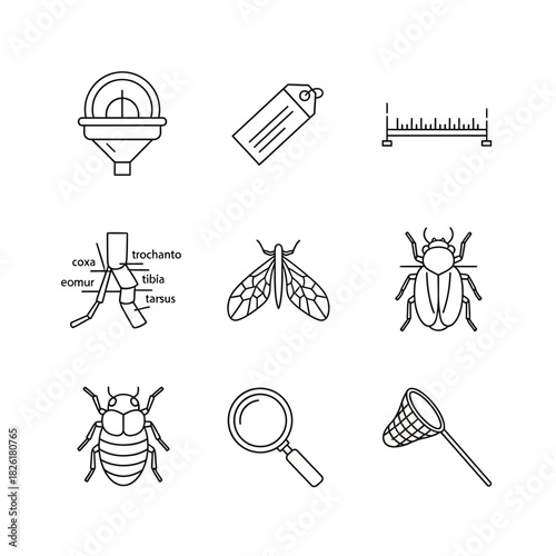 Entomology Tools and Insect Identification Equipment.