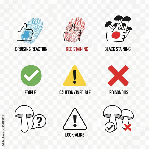 Mushroom Foraging Guide Icons Set for Edibility and Poisonous Identification.