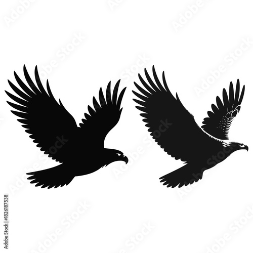 Two Silhouette Eagles Flying Side by Side bird raptor