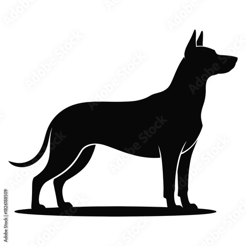 Black Silhouette of a Great Dane Dog Standing canine