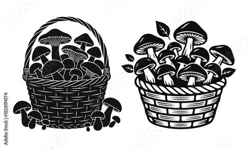 Vector illustration of mushrooms in a wicker basket. Forest mushrooms, wild mushrooms, collection in a basket, natural objects collection, botanical illustration