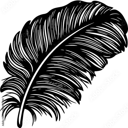 black and white feather