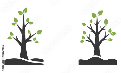 Two young trees growing in fertile soil.